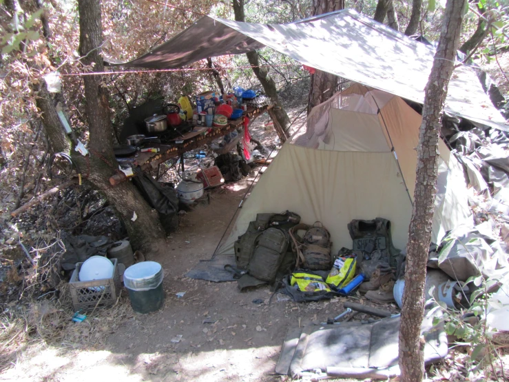 a view from the air of a tent in a forest