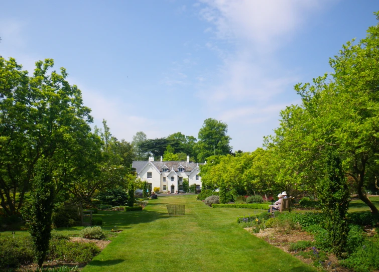 an outdoor area with trees, bushes and a home