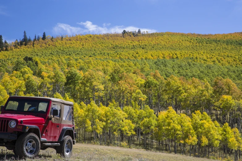 a jeep driving along a path by a hillside with trees on it