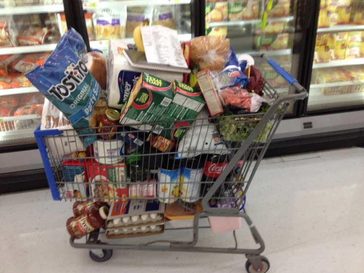 a grocery cart with a grocery bag full of food