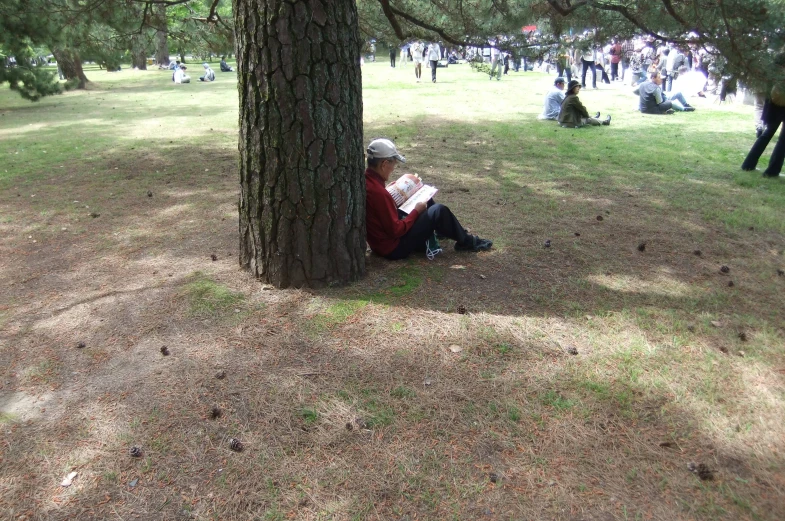 a person is reading a book next to a tree