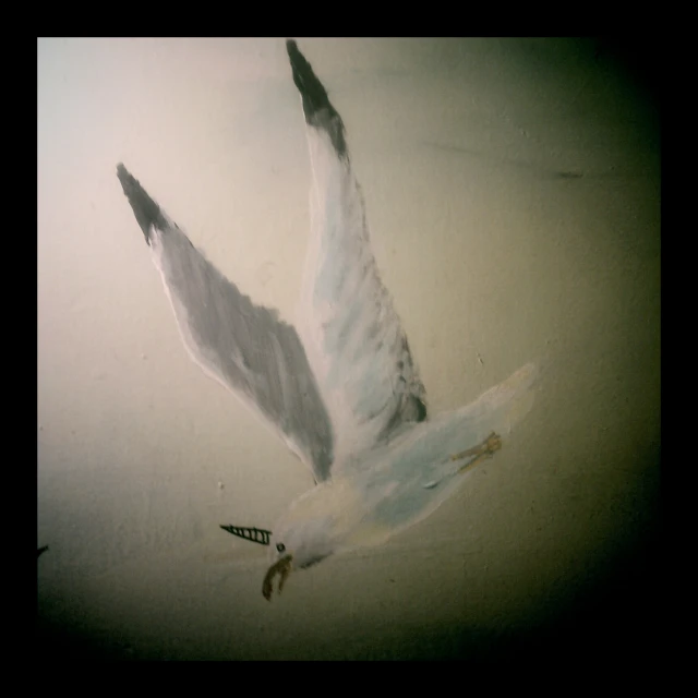 a drawing of a seagull soaring through the sky