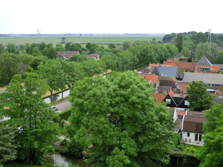 a lot of trees and houses in a small town