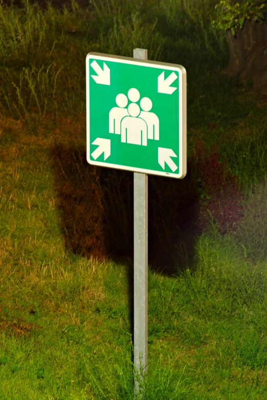 a green and white sign standing in the grass