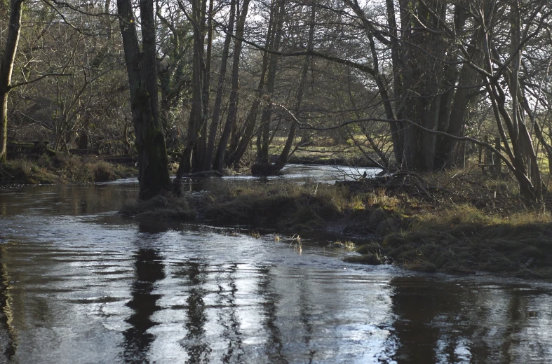 the river has very low water to see it's flow