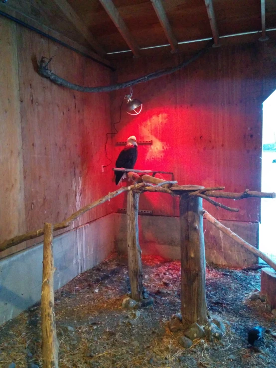 the man is standing inside of his barn alone