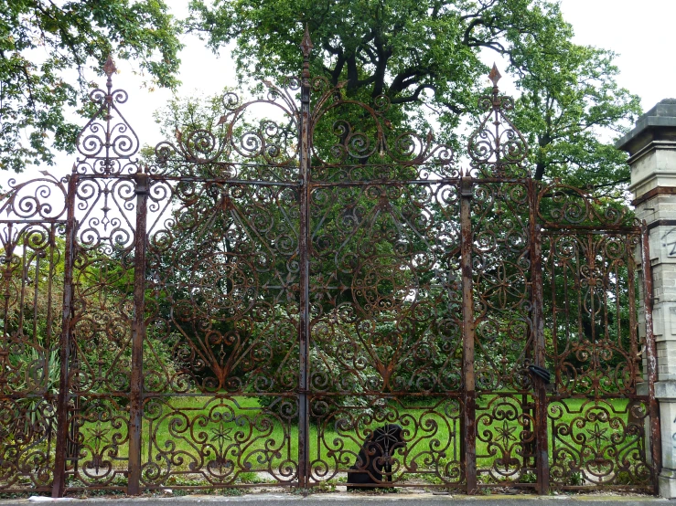 a gate with two cats behind it to look at a tree