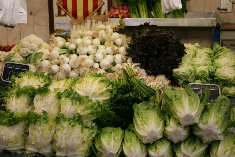 many cabbages are displayed on the counter at the market