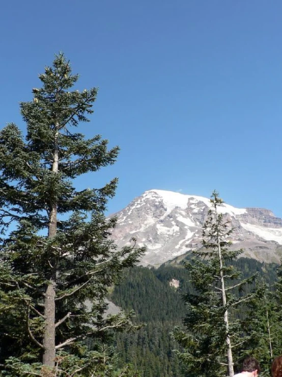 a woman standing by a bunch of trees next to a mountain