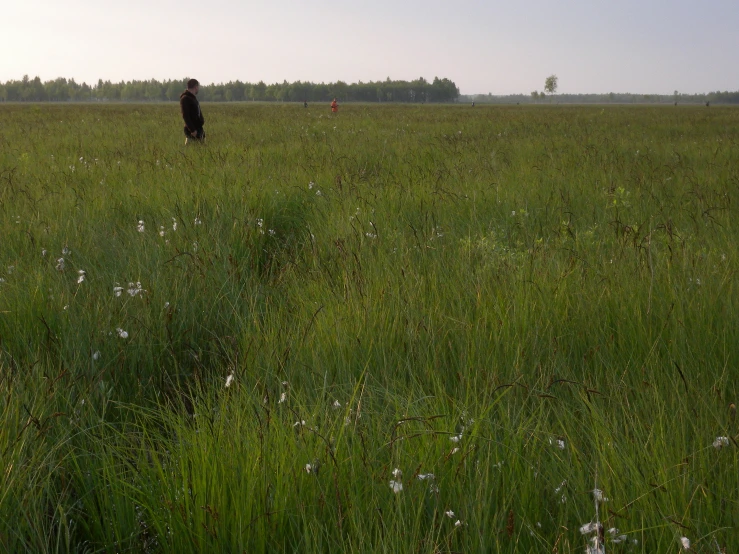 people in a grassy field, one standing and the other in the distance