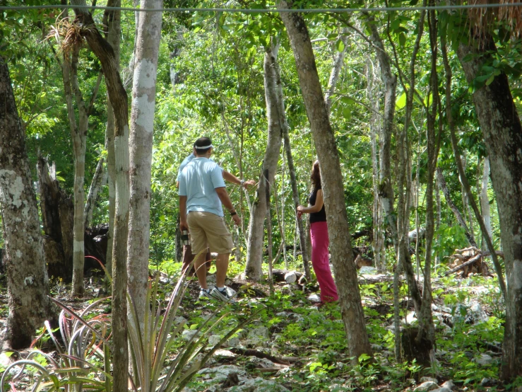 people in the forest looking through trees