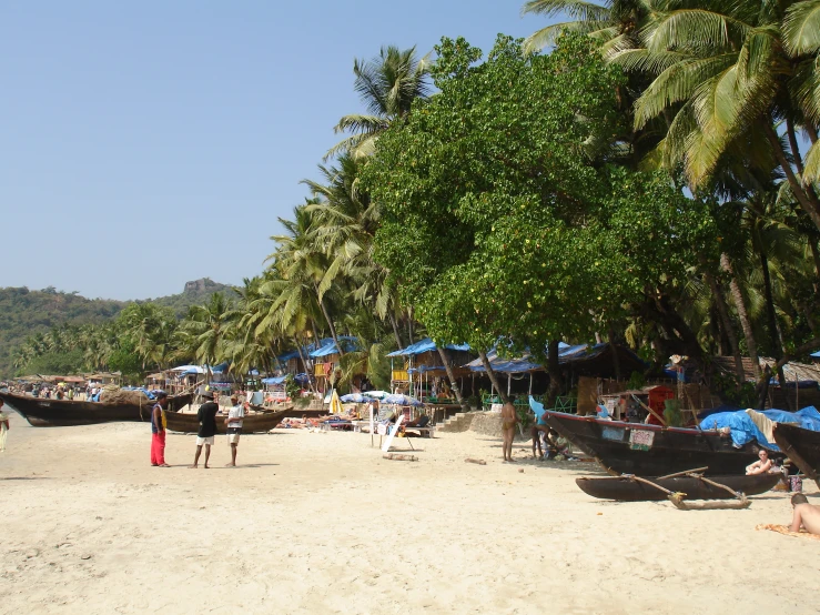 people are standing on the beach under some trees