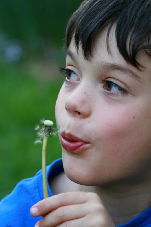 a  is blowing the dandelion with his nose