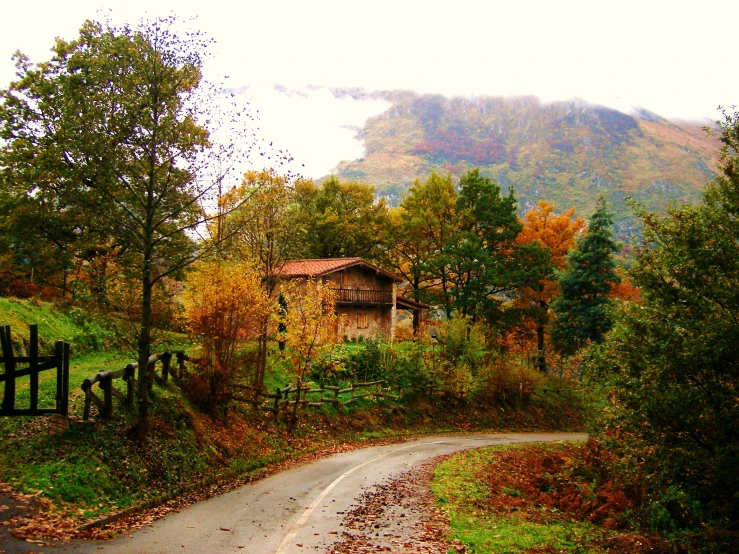 a scenic country road winding into the woods