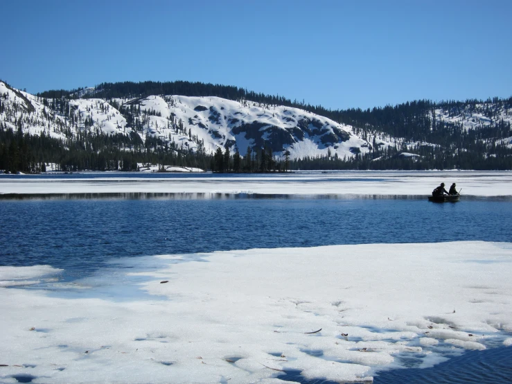 the man is fishing for the animals at the lake