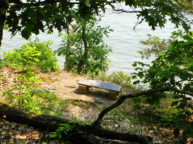 some benches on a bank by the water