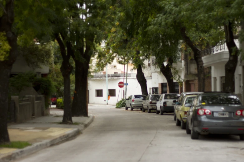 several cars parked along a tree - lined street in a residential area