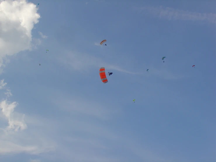 there are many kites flying in the sky