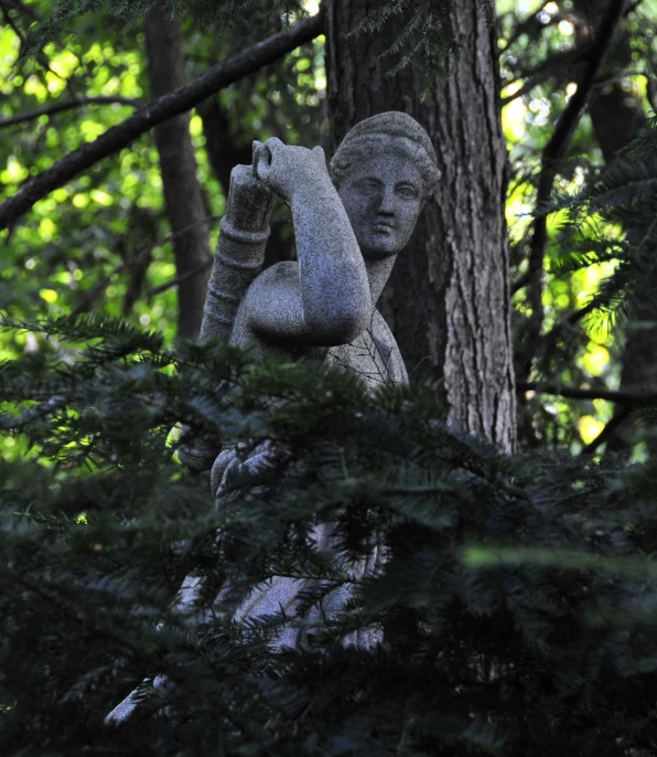 a small statue between two pine trees in the woods