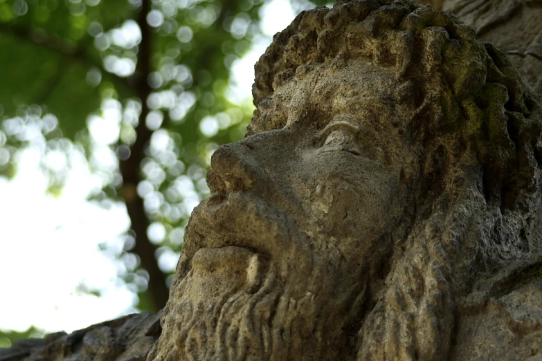 a statue of a man with trees in the background