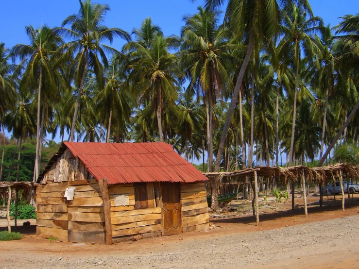 there are many houses that are outside near the trees