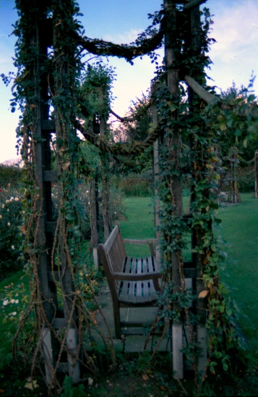 a wooden bench surrounded by vines and trees