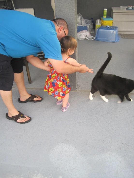 a little girl is petting a cat by the arm