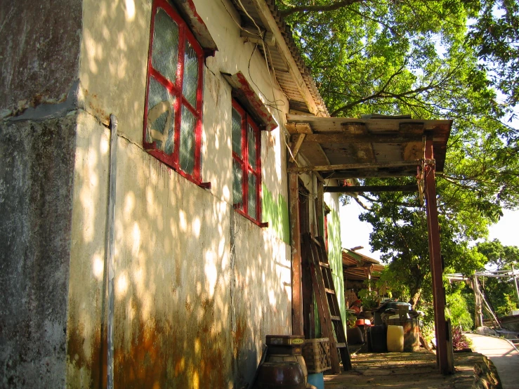 a tree near a building with red windows