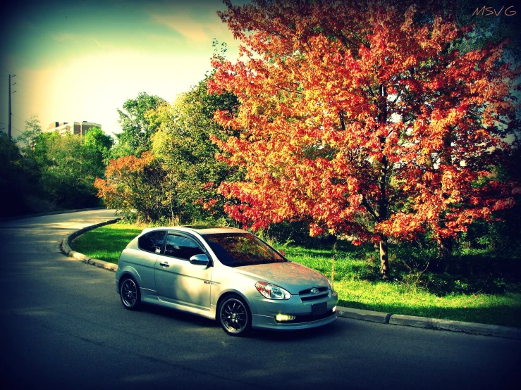 car parked along a road in front of a tree with red leaves