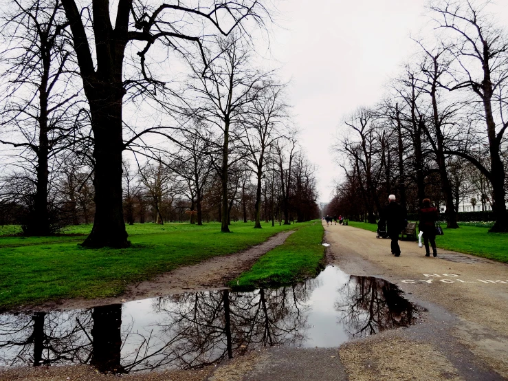 people are walking up the trail in an area where there is a flooded road and trees