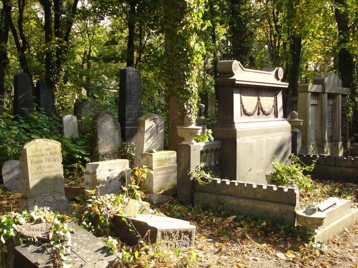 a cemetery is full of headstones and vines