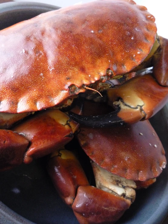 a pile of steamed crabs in a black bowl