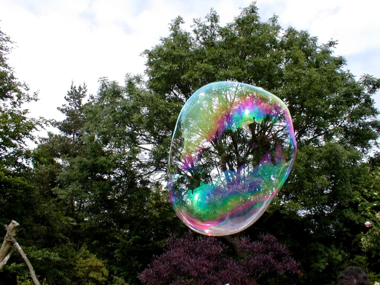 a clear bubble bubble flying through the air next to trees