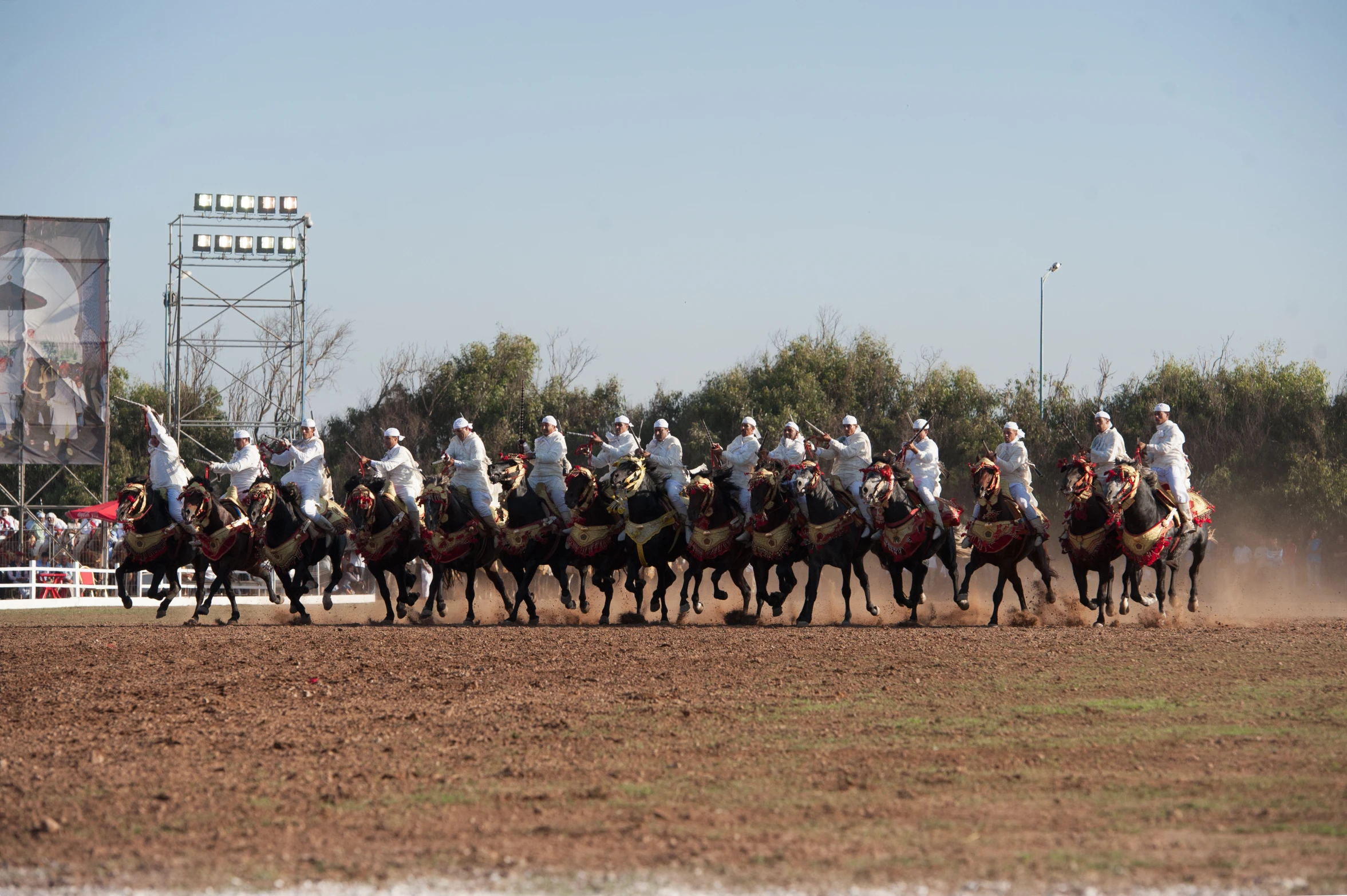 a line of horses that are standing in the dirt