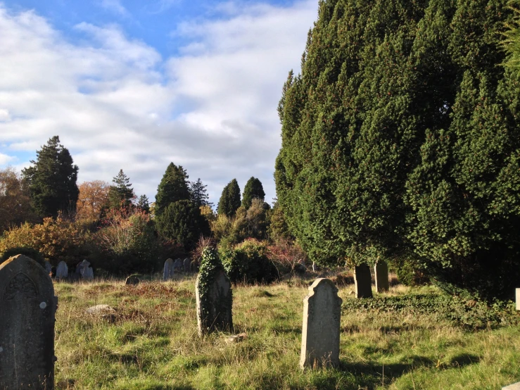 a cemetery in the middle of a grassy area