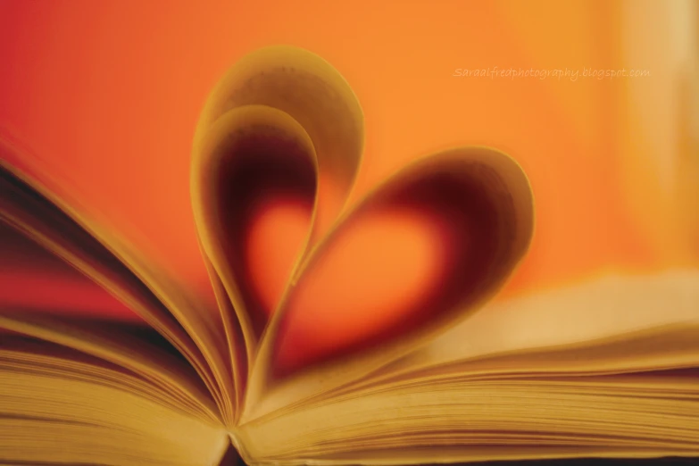 an open book with a paper heart on top of it