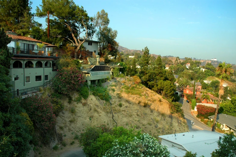 a hill with trees and houses on it