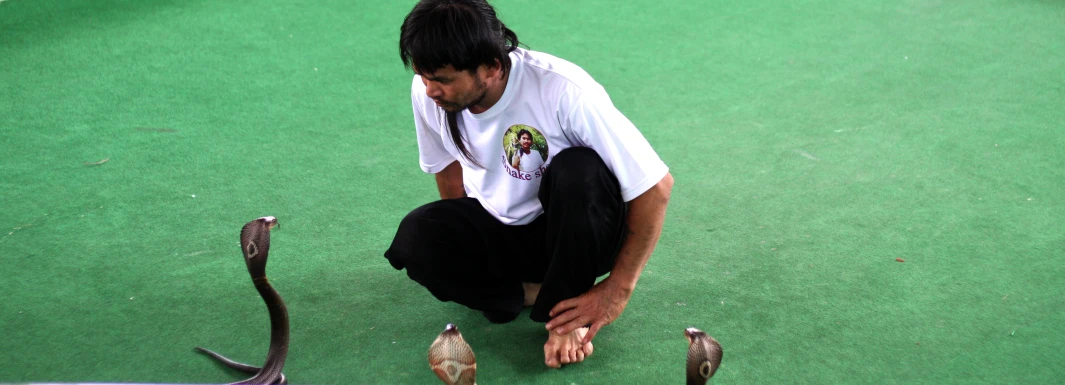 a man kneeling down looking at a bunch of snake teeth