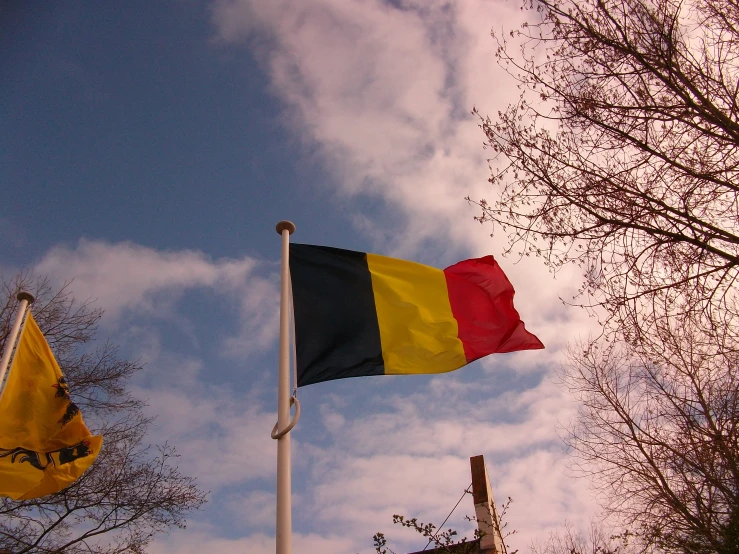 a couple of flags flying from a flag pole