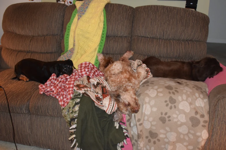 a dog sleeping on a pile of blankets and blankets next to a couch