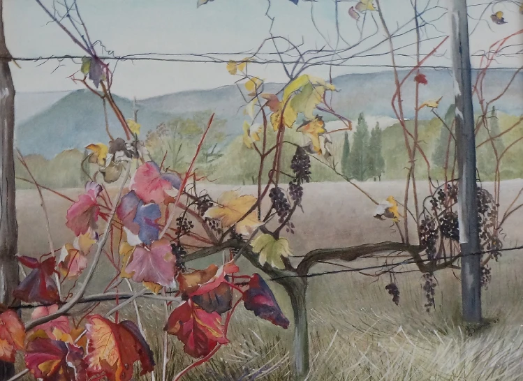 an oil painting of a vineyard growing in a field