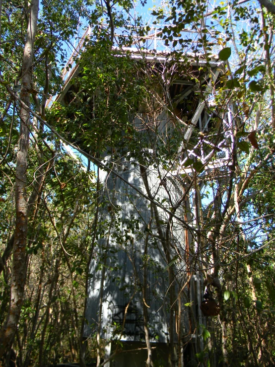 a tall white structure nestled between trees on the forest floor