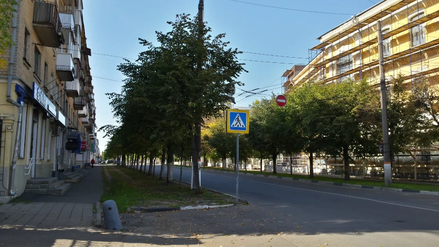 empty street with tree lined sidewalk next to residential buildings