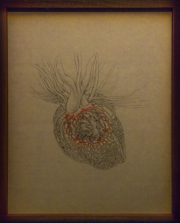 a drawing of the heart in a gold frame