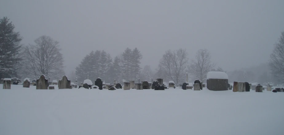 a snow covered cemetery in a forest with large trees