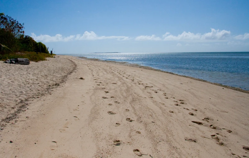 there are some footprints leading up to the beach