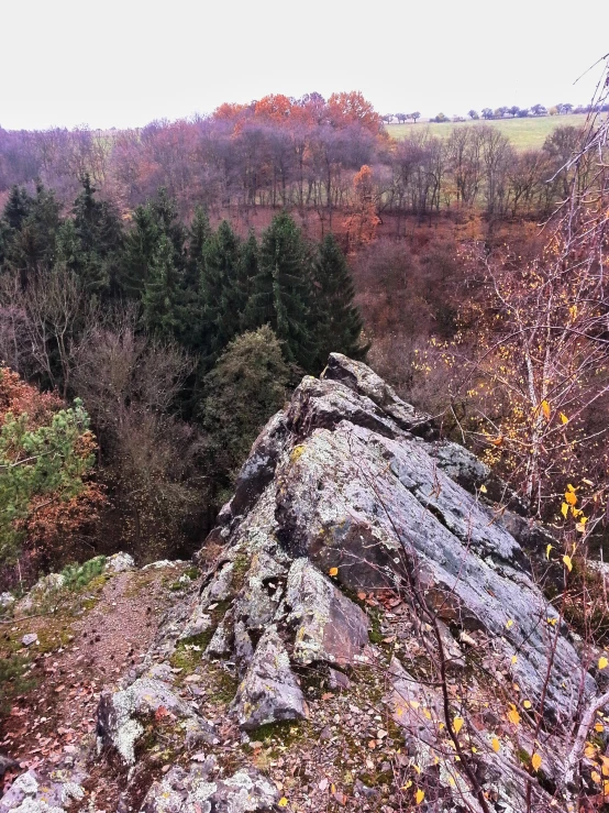 a rocky outcrop is surrounded by trees on an island