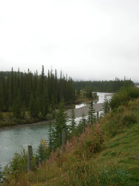 the river is running through a wooded area