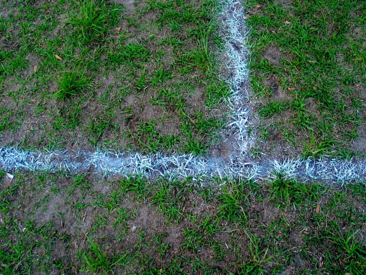 a section of grass that has blue lines in it