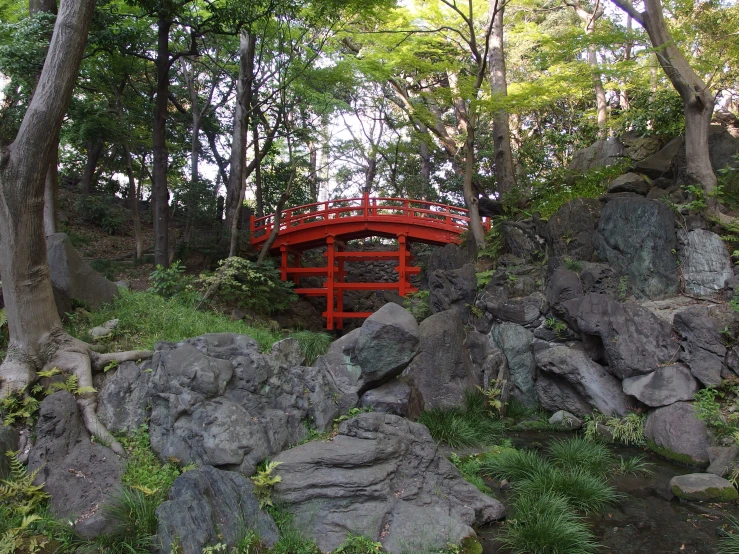 a wooden bridge surrounded by trees and rocks